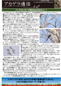 アカゲラ通信2024年12月号A面