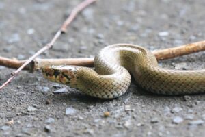 ジムグリ2025年1月5日