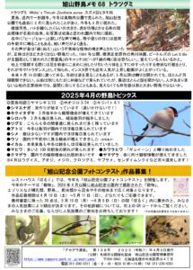アカゲラ通信2025年4月号裏