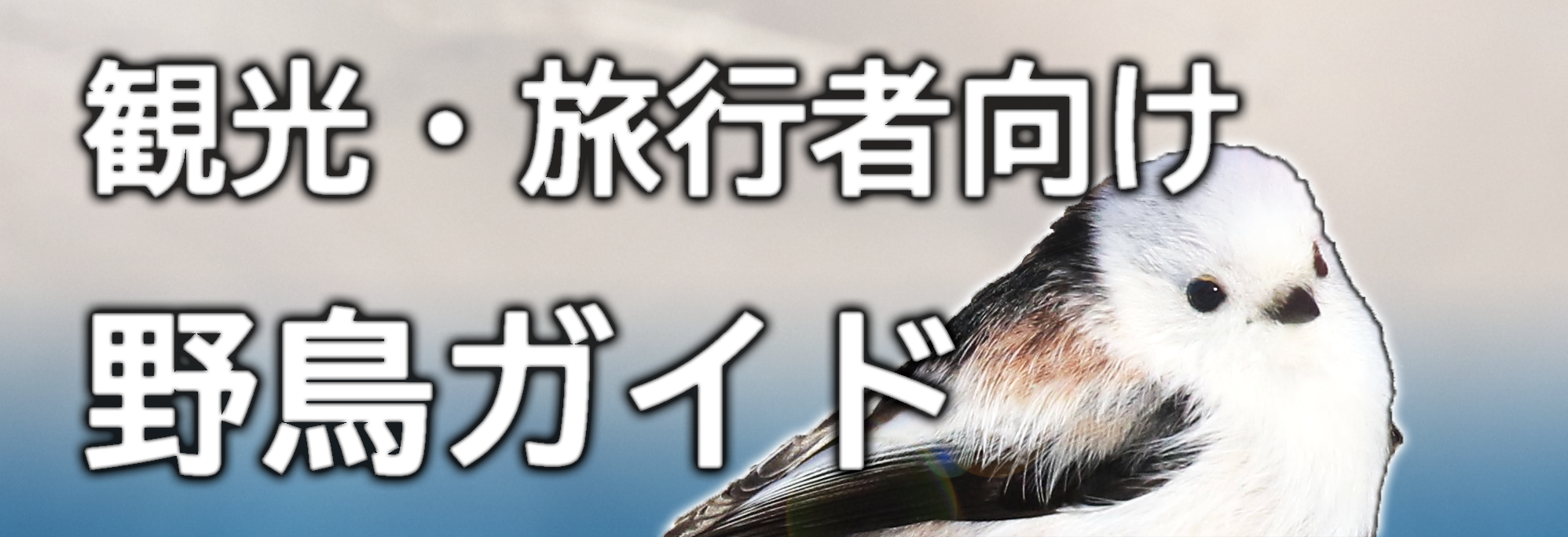 月例開催 旭山野鳥観察会