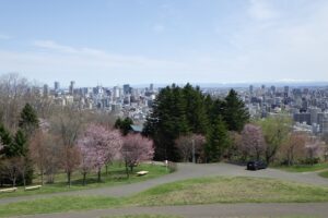 新桜並木と街並み