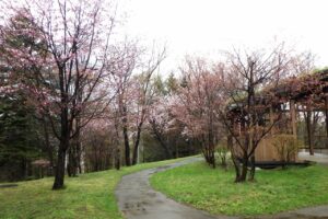 ピクニックテラス