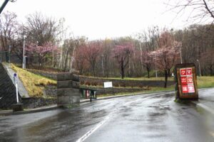 旭山記念公園の門前の桜