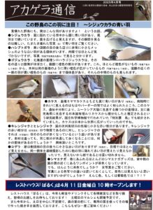 アカゲラ通信2025年4月号表