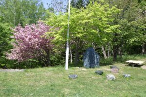 旭山記念公園の桜2025年5月16日9寺田京子句碑とその周り