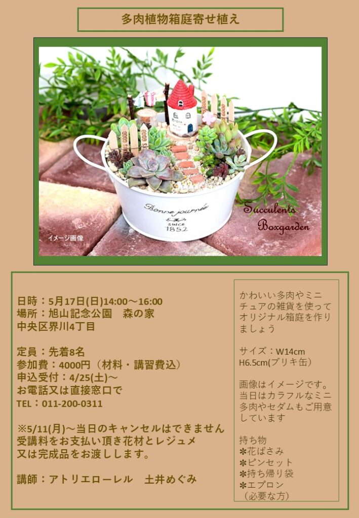 多肉植物で作られた箱庭