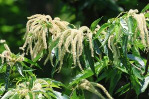 クリ2025年6月29日