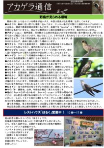 アカゲラ通信2025年6月号表
