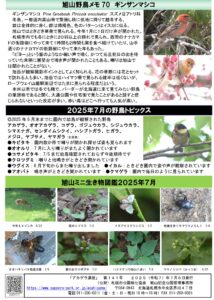 アカゲラ通信2025年7月号裏