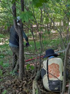 旭山ボランティアの会活動（枯れ枝処理）