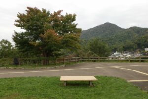 旭山の紅葉2025年9月29日1展望台から一本桜の向こうに藻岩山を望む