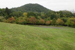 旭山の紅葉2025年9月29日2新桜並木と円山