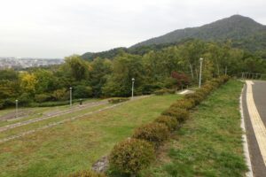 旭山の紅葉2025年9月29日4テラス状階段から藻岩山を望む