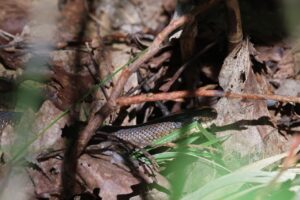 ジムグリ2025年9月7日