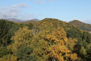 旭山の紅葉5展望台から北西側を望む