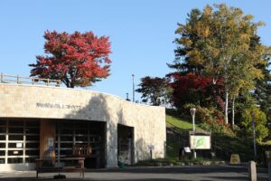 旭山の紅葉2025年10月20日23レストハウスと展望台一本桜