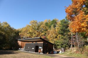 旭山の紅葉2025年10月20日17森の家の周り