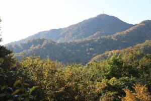 旭山の紅葉2025年10月21日5第1駐車場から藻岩山を望む