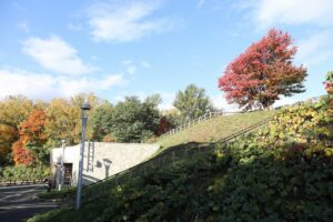 旭山の紅葉2025年10月21日16展望台一本桜八重桜並木から