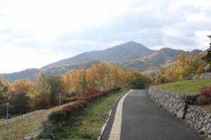 旭山の紅葉2025年10月25日11テラス状階段から藻岩山を望む
