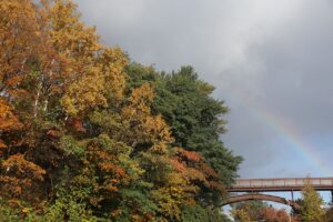 旭山の紅葉2025年10月27日1虹