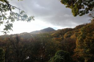 旭山の紅葉2025年10月27日20山紅葉坂から藻岩山を望む