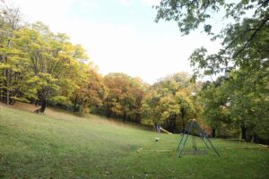 旭山の紅葉2025年10月27日11遊具広場