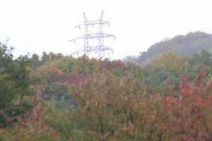 旭山の紅葉2025年10月17日5幌見峠の鉄塔