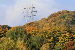 旭山の紅葉2025年10月20日8幌見峠の鉄塔