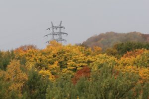 旭山の紅葉2025年10月24日17幌見峠の鉄塔
