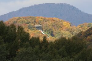 旭山の紅葉2025年10月25日9大倉山シャンツェ