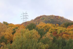 旭山の紅葉2025年10月25日8幌見峠の鉄塔