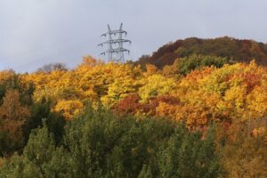 旭山の紅葉2025年10月27日21幌見峠の鉄塔