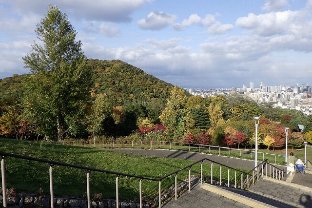 2025年10月19日紅葉の状況(円山と新桜並木)