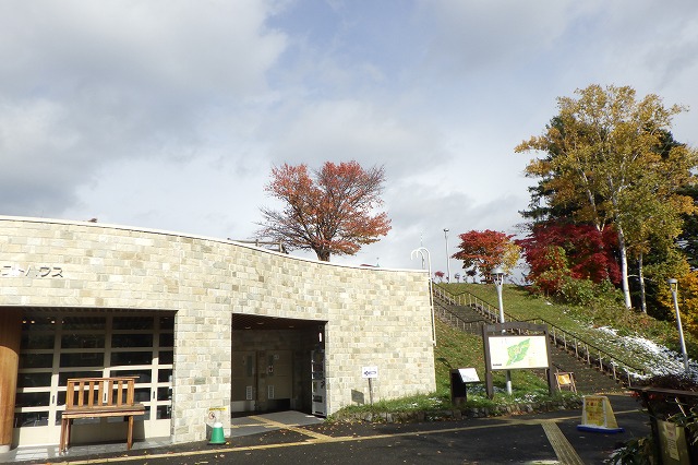 2025年10月29日紅葉の状況 (展望台一本桜をレストハウス前から)