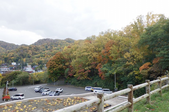 2025年10月23日紅葉の状況(第1駐車場から記念樹の森)