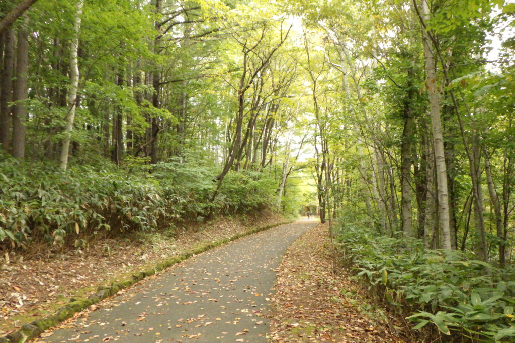2025年10月12日紅葉の状況（カラマツ街道）