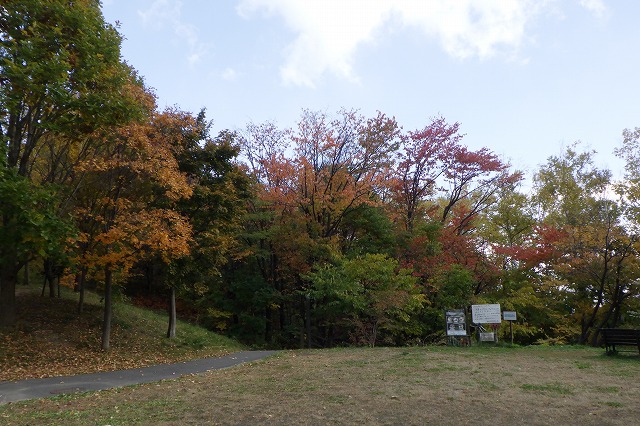2025年10月23日紅葉の状況（森の家前）