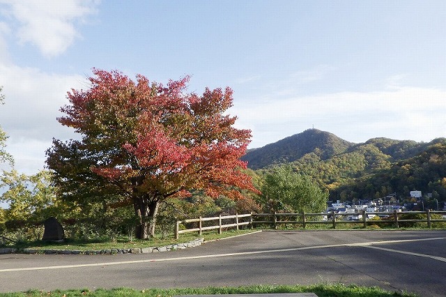 2025年10月19日紅葉の状況(展望台一本桜と藻岩山)