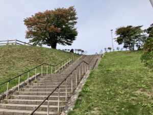 旭山の桜2025年10月7日7展望台一本桜と展望台階段