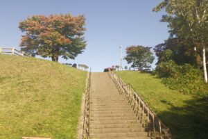 旭山の紅葉2025年10月3日6展望台一本桜と展望台階段ｎ