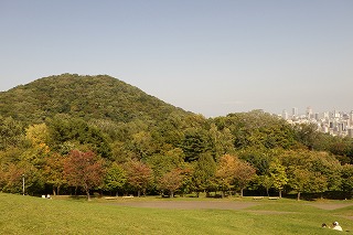 円山と新桜並木