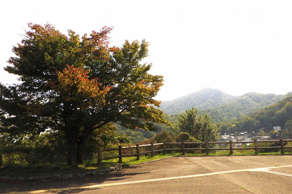 藻岩山と一本桜
