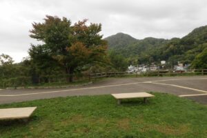 旭山の紅葉2025年10月6日1展望台一本桜と藻岩山