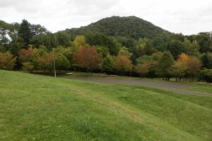 旭山の紅葉2025年10月6日3新桜並木と円山