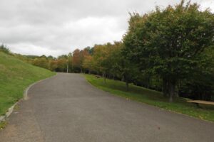 旭山の紅葉2025年10月6日4新桜並木