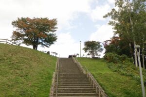 旭山の紅葉2025年10月6日9展望台一本桜と展望台階段