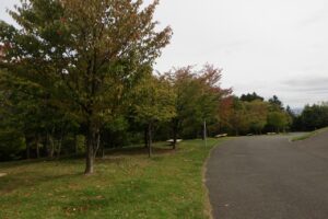 旭山の紅葉2025年10月7日3新桜並木