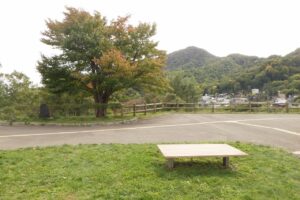 旭山の紅葉2025年10月7日6展望台一本桜と藻岩山