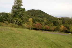 旭山の紅葉2025年10月7日5新桜並木と円山